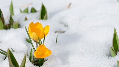 Sneg u aprilu: Narodno verovanje