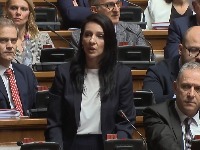 "Andrej Vučić je novi premijer, kažu da pola Vlade koristi narkotike": Govor Marinike Tepić razbesneo SNS-ovce (VIDEO)