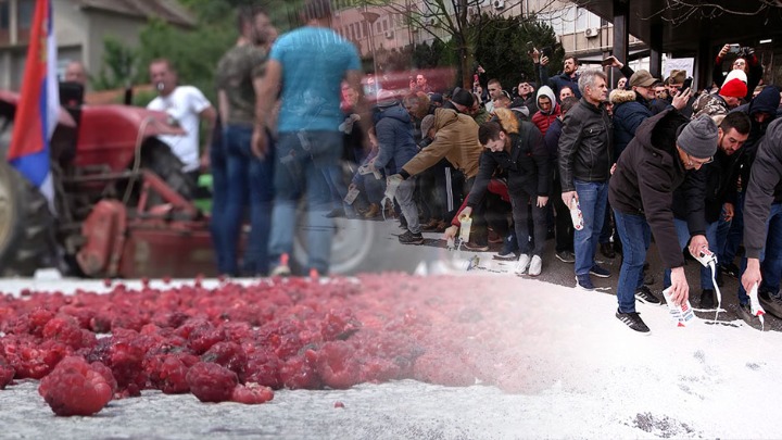 Srbija danas: Maline bacamo, mleko prosipamo | Društvo i ekonomija