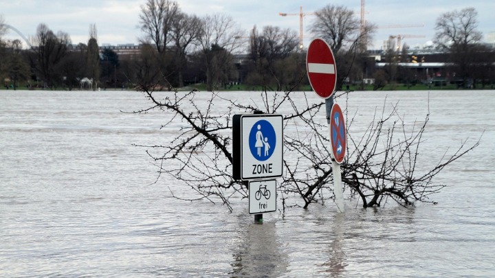 Stiže nabujali Dunav: Očekuju se poplave | Srbija | Direktno