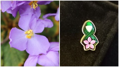 Cvet "feniks", lep kao kraljica: Šest stvari o Natalijinoj ramondi