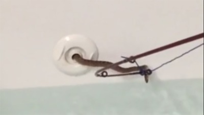 Izmilela zmija iz kade: Zapalacala jezikom (VIDEO)