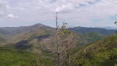 Nestala starica se sama vratila kući