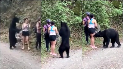Medved presreo planinare: Žena brže bolje opalila selfi Medved presreo planinare: Žena brže bolje opalila selfi