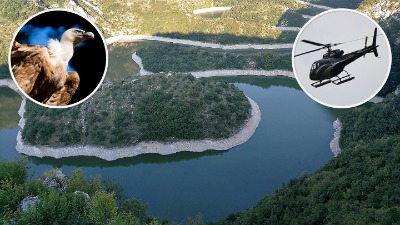 Zašto se skriva ubica zaštićenih ptica nad Uvcem? Zašto se skriva ubica zaštićenih ptica nad Uvcem?
