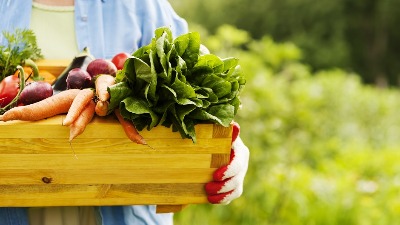 Hranljive prednosti organske ishrane