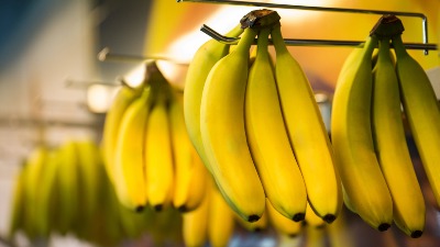 Policija zaplenila 646 kilograma kokaina u tovaru banana