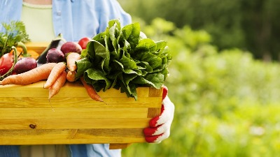 Organska hrana: Da li je sigurnija? Hranljivija? 