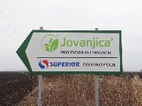 "Praviš pare i dok ležiš": Kako Milan Koluvija prodaje konoplju preko firme Jovanjica Nova