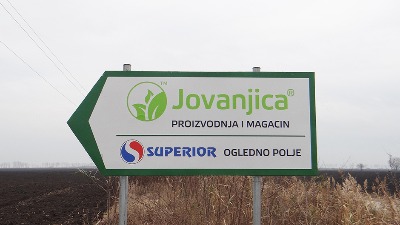 "Praviš pare i dok ležiš": Kako Milan Koluvija prodaje konoplju preko firme Jovanjica Nova