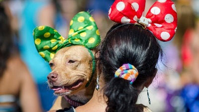 "Beg od karantina": U Riju održan karneval za pse
