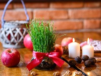 Posadite božićnu pšenicu baš na OVAJ DAN: Sreća će ući u vaš DOM 