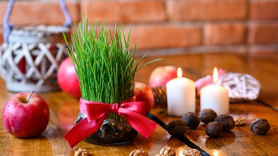 Posadite božićnu pšenicu baš na OVAJ DAN: Sreća će ući u vaš DOM 