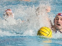 HAOS I RASPAD U ZVEZDI Ponuđene ispisnice igračima, odlaze iz kluba, ali to nije najveći problem