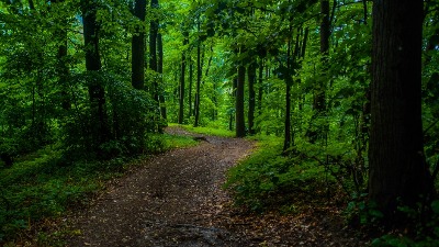 "Zašto Nacionalni park Fruška gora ne obaveštava građane o krivolovu?"