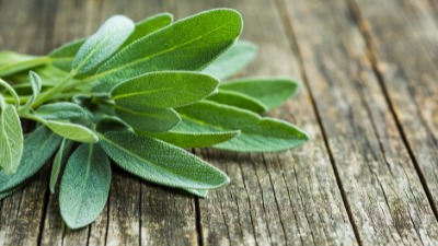 JEDNOSTAVNO Biljka koja čisti kožu i sprečava loš zadah