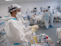 OPASNA ZARAZA NA PRAGU SRBIJE! Upaljen alarm, ugrožen veliki broj