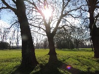 Sneg i ledena jutra stežu Srbiju, a onda nagli OBRT