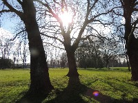 Stižu letnje temperature: Ovaj dan doneće Srbiji ČAK 30 stepeni