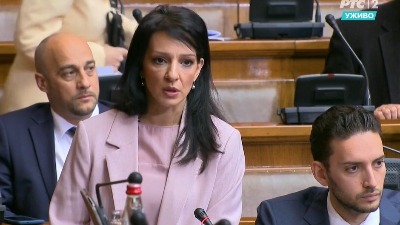 Pitanja Marinike Tepić u Skupštini za BIA, MUP, Brnabić, Vladu...