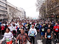 Polumaraton ZATVARA Novi Beograd i Zemun: Gradski prevoz menja trase
