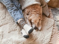 Stalno su vam hladne noge, a cirkulacija loša? Rešenje nisu vunene čarape, već NEŠTO IZ KUHINJE 