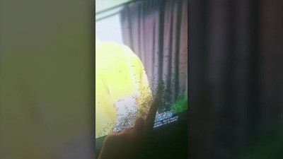 Mravi u ekranu televizora: Grozni su! (VIDEO)