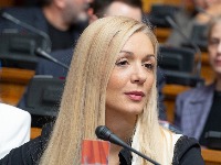 Milošević: Apsurd Medoševačkog mosta - znak zabranjuje, kamioni prolaze (FOTO)