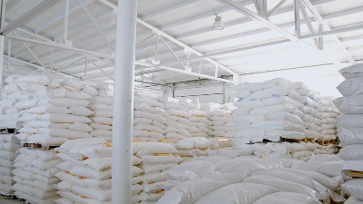 Vlada povećala kvote za izvoz pšenice