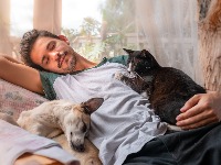 Volite pse ili mačke, budni do kasno: Šta to govori?