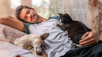 Volite pse ili mačke, budni do kasno: Šta to govori?