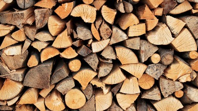 Pripreme za zimu: Ovoliko košta metar drva