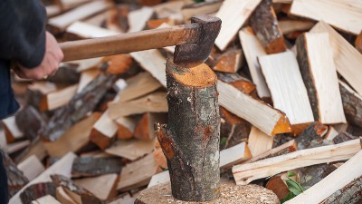 Vlada ZABRANILA izvoz drva za ogrev