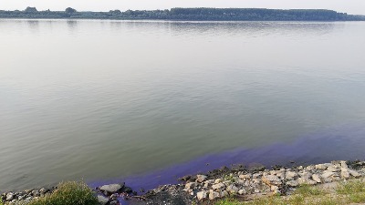 Nađeno telo jednog od nestalih prijatelja u Dunavu