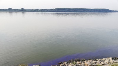 Pronađeno telo muškarca kako pluta Dunavom