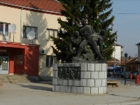 Od plafona do sistema, SVE SE RASPADA u Babušnici