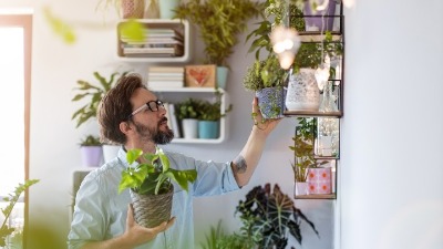 Trikovi pomoću kojih će biljke preživeti vaš godišnji