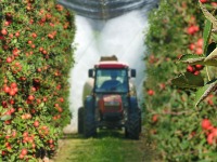 Ima li VOLJE I FINANSIJA: Poljoprivreda dobija novu strategiju, ali STARI PROBLEMI ostaju