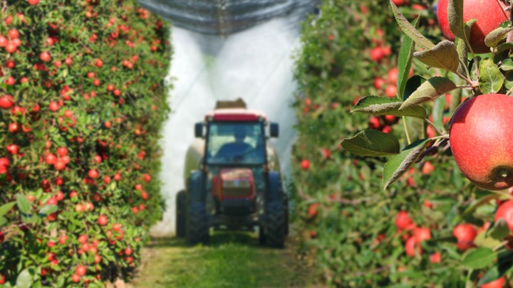 Ima li VOLJE I FINANSIJA: Poljoprivreda dobija novu strategiju, ali STARI PROBLEMI ostaju