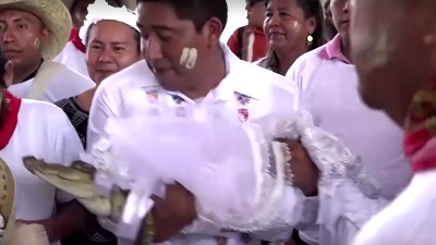 Gradonačelnik oženio ženku aligatora (VIDEO)