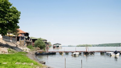 NIŠTA DUNAV, SAVA I VELIKA MORAVA Kreće uvoz šarana 