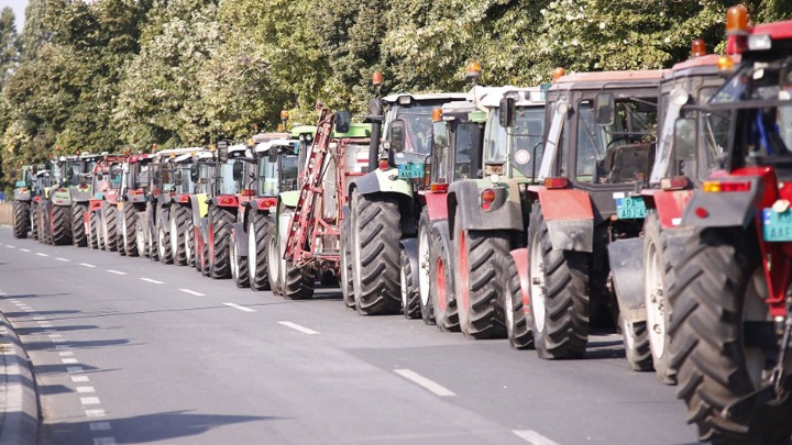 Mlekari blokirali Ibarsku: Najmasovniji protest do sada, prosuće tone mleka
