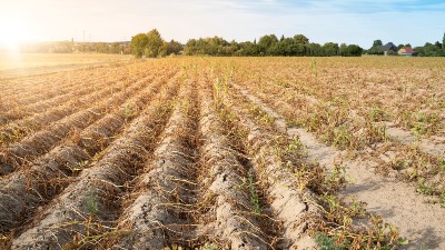 Skupo plaćen promašaj: Navodnjavanje u Srbiji daleko od planova!