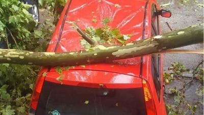 Snažno nevreme obaralo drveće u Kikindi (VIDEO)