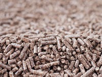 Grejete se na pelet? EVO ŠTA VAS ČEKA Grejete se na pelet? EVO ŠTA VAS ČEKA