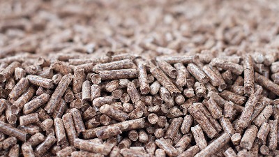 GLAVOBOLJA Peleta ponovo nema na stovarištu, a cena raste