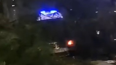 Drvo palo na vozila dok su čekala na semaforu (VIDEO)