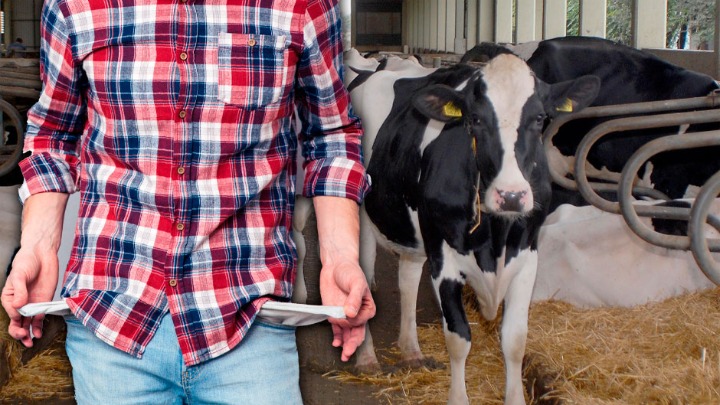 Mlekari traže zabranu uvoza, stručnjaci upozoravaju - teško, plaćamo cenu brze liberalizacije