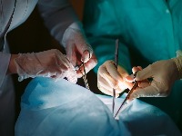 Urađena prva transplantacija pluća u Srbiji: Veliki uspeh lekara UKC Srbije