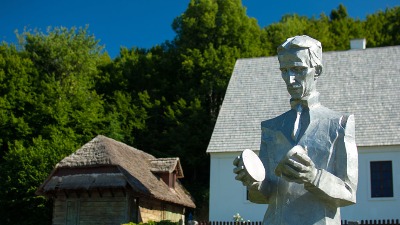 Nikola Tesla je svaki dan za užinu uz sir jeo isključivo ovo voće - poboljšava rad mozga i koncentraciju 